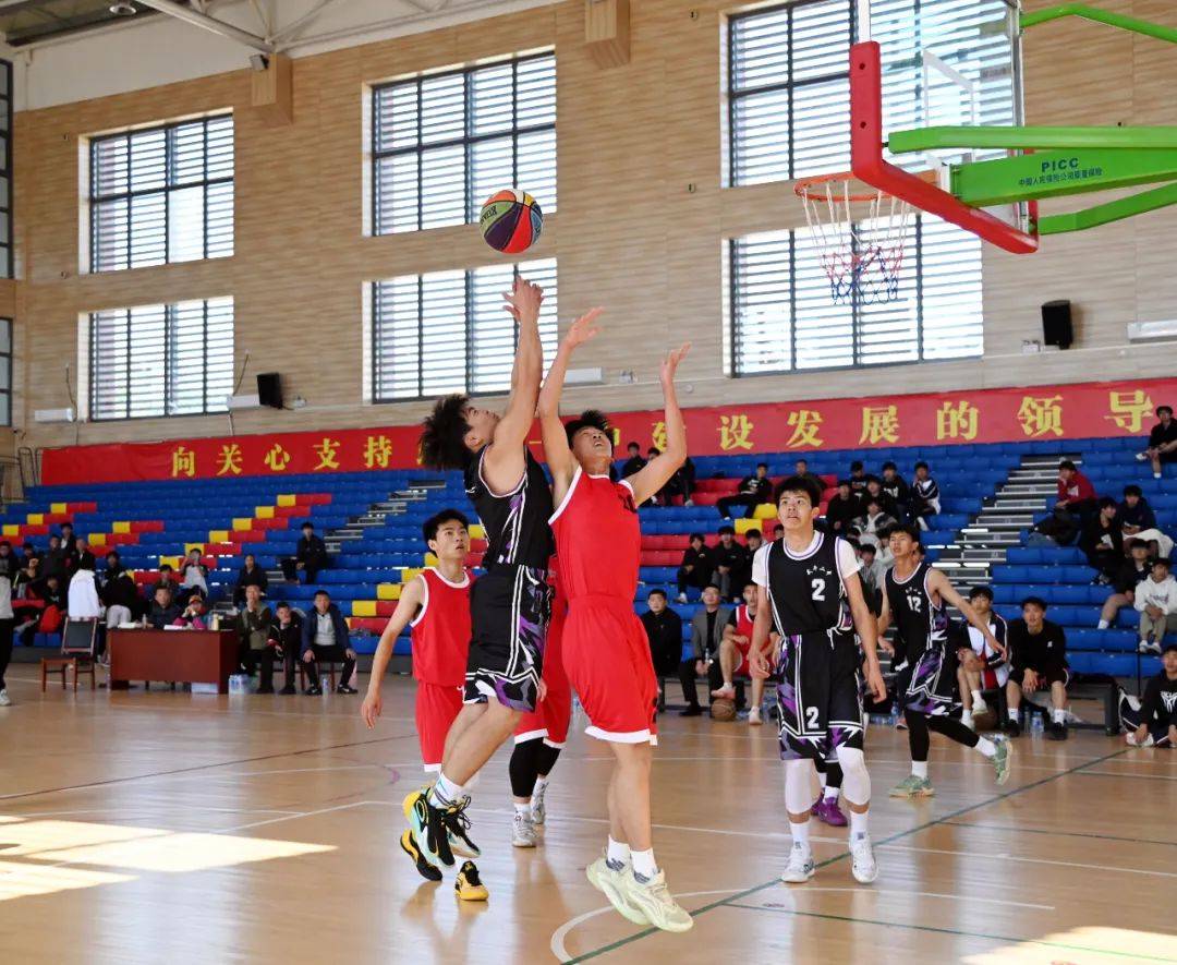 关于体育盛事：精彩瞬间令人目不暇接的信息