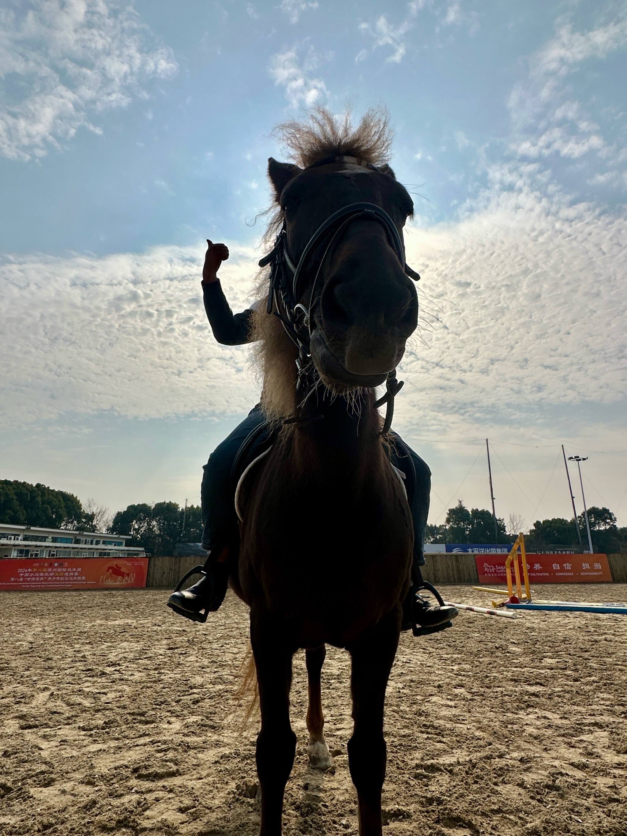 奥地利选手勇夺马术比赛头名的简单介绍