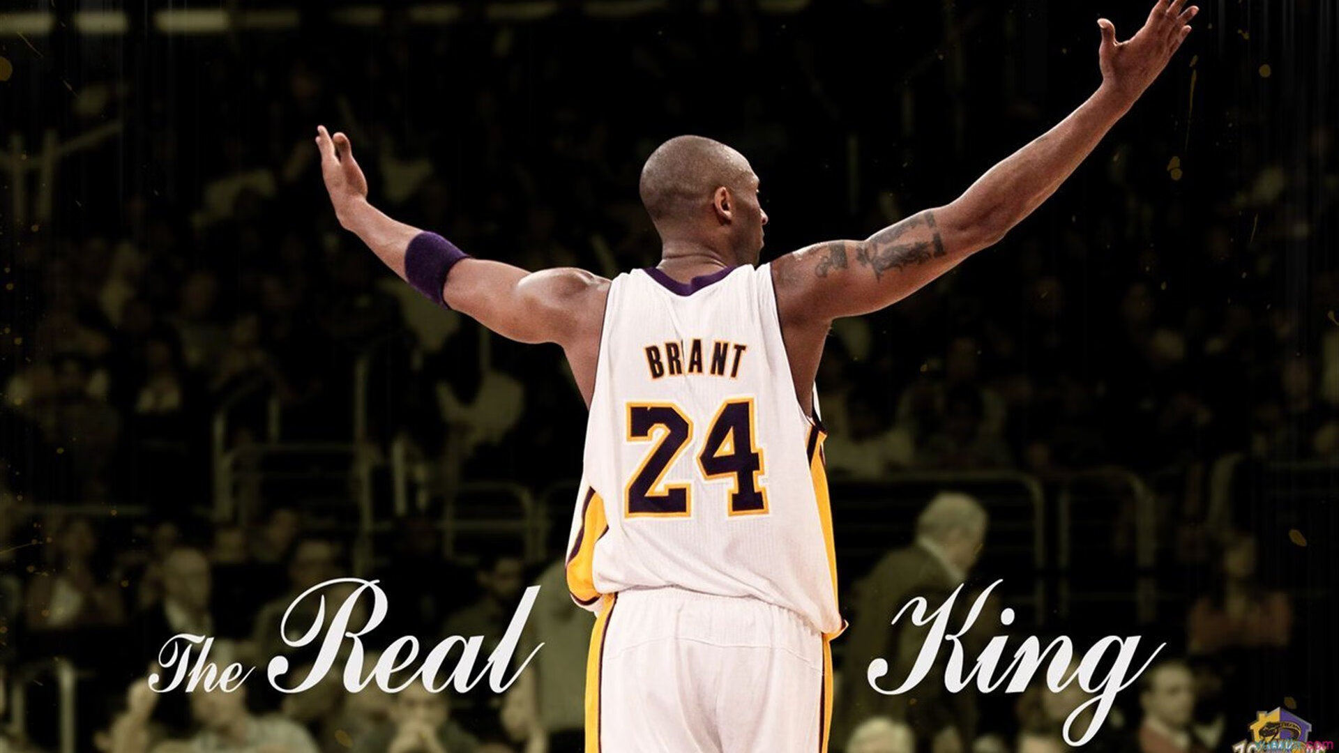 综合格斗最新战报！俄罗斯队迎战克罗地亚队，超级对决，球迷热情点燃赛场